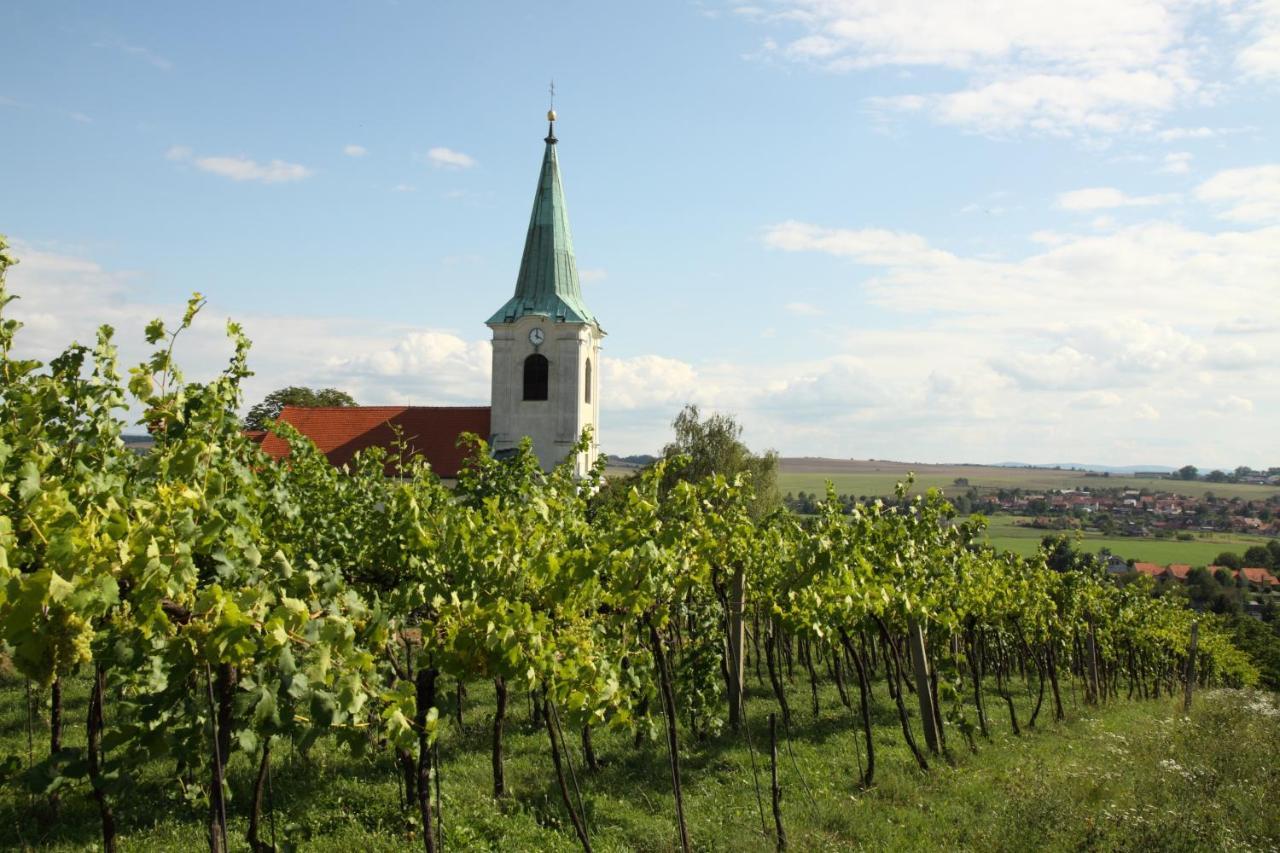 Ubytovani Ve Vinarstvi Medek | Medek House & Winery Угерске-Градиште Экстерьер фото