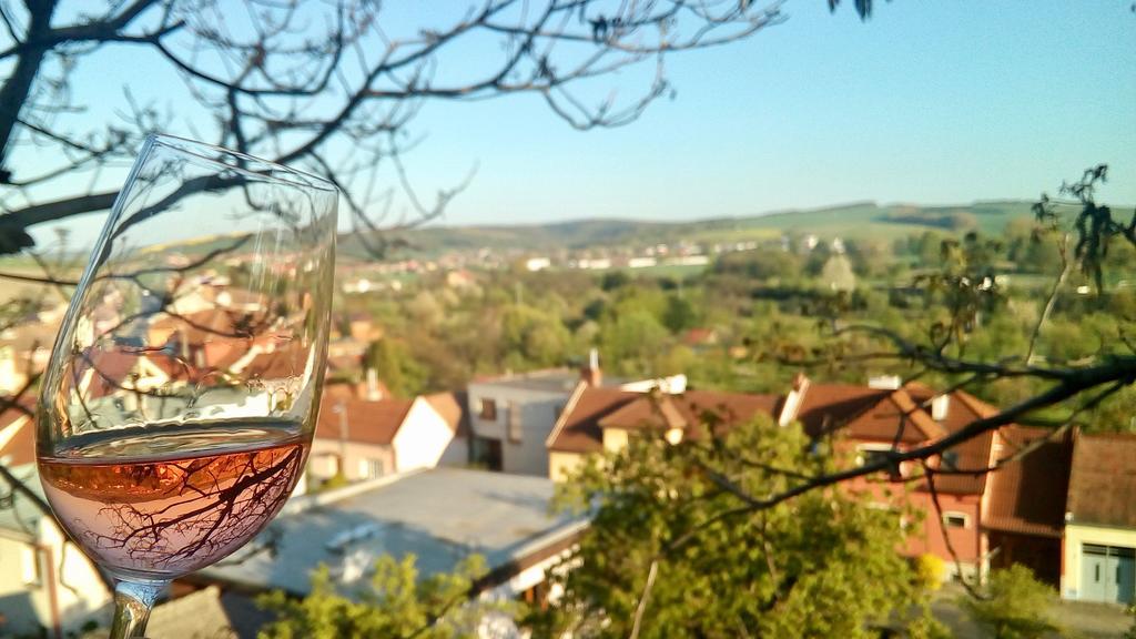 Ubytovani Ve Vinarstvi Medek | Medek House & Winery Угерске-Градиште Экстерьер фото
