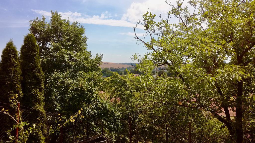 Ubytovani Ve Vinarstvi Medek | Medek House & Winery Угерске-Градиште Экстерьер фото